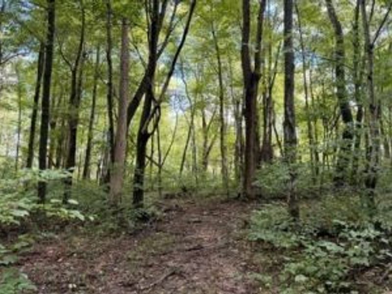 18853 Township Rd. 65, Coshocton, OH 43844 Photo 29