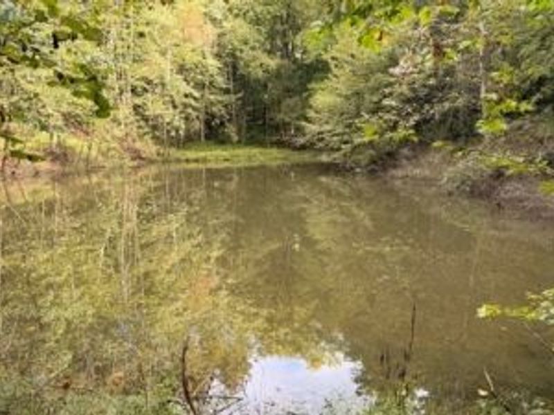 18853 Township Rd. 65, Coshocton, OH 43844 Photo 30