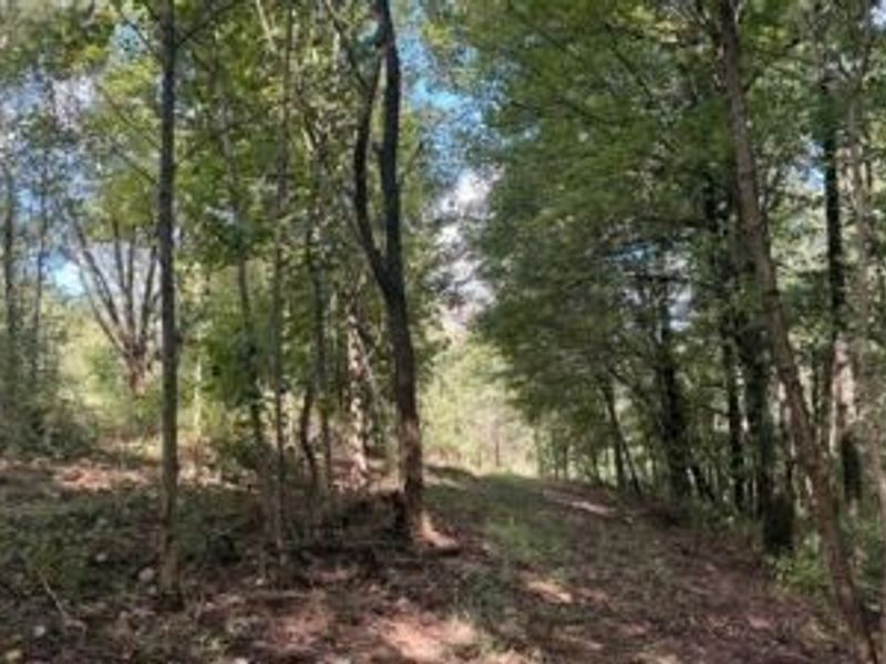 18853 Township Rd. 65, Coshocton, OH 43844 Photo 31