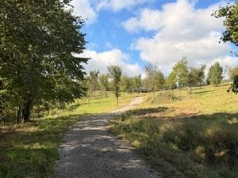 18853 Township Rd. 65, Coshocton, OH 43844 Photo 37
