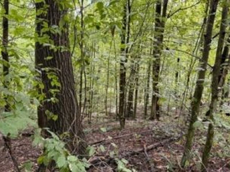 18853 Township Rd. 65, Coshocton, OH 43844 Photo 41