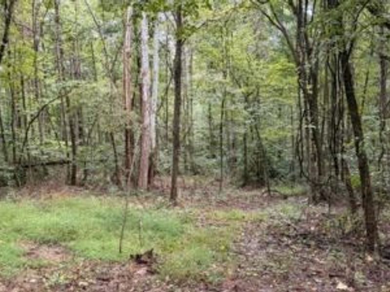 18853 Township Rd. 65, Coshocton, OH 43844 Photo 44