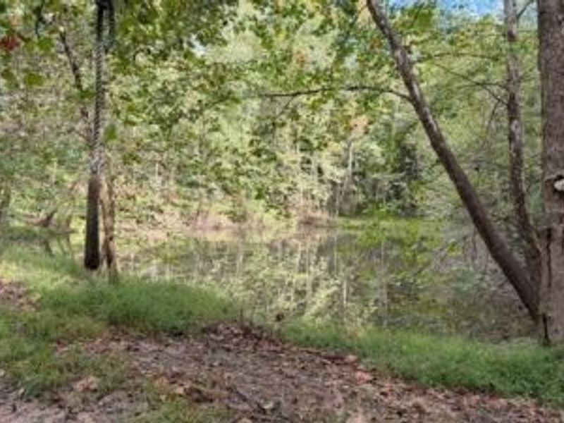 18853 Township Rd. 65, Coshocton, OH 43844 Photo 45