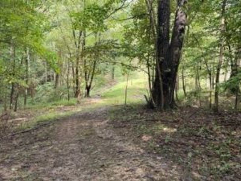 18853 Township Rd. 65, Coshocton, OH 43844 Photo 46