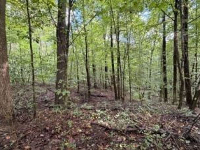 18853 Township Rd. 65, Coshocton, OH 43844 Photo 50