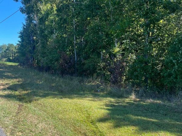 Brewstertown Rd, Robbins, TN 37852