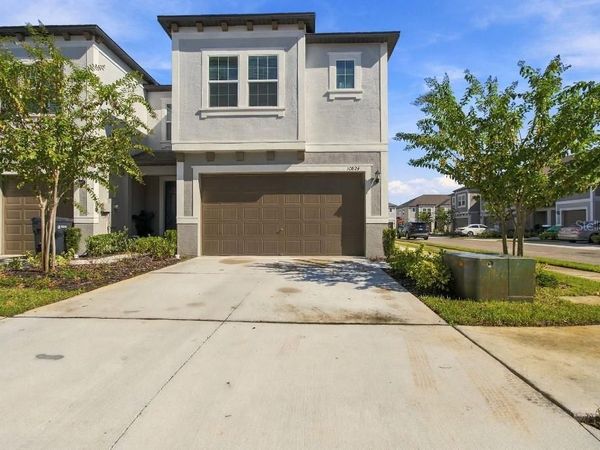 10824 FANNING SPRINGS COURT , TAMPA, FL 33647