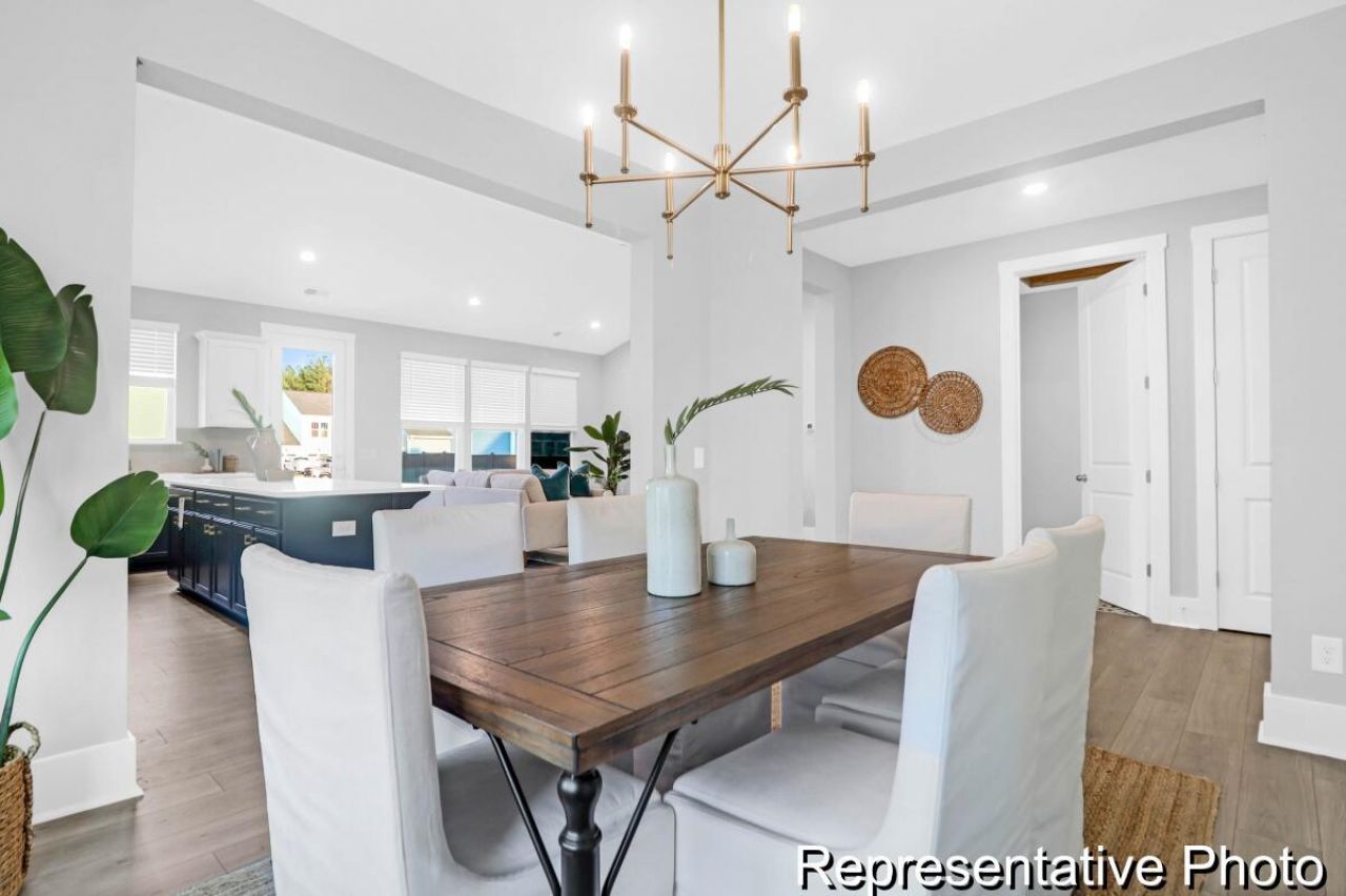143 Summer Tanager Drive Photo 12