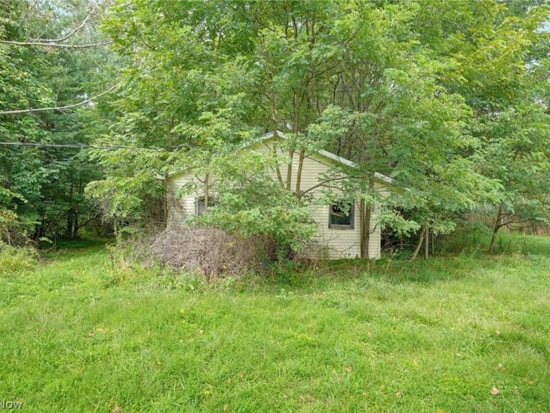 5484 State Route 46, Rome, OH 44085 Photo 29