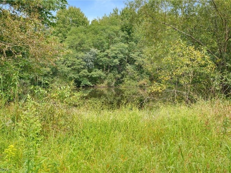 5484 State Route 46, Rome, OH 44085 Photo 6