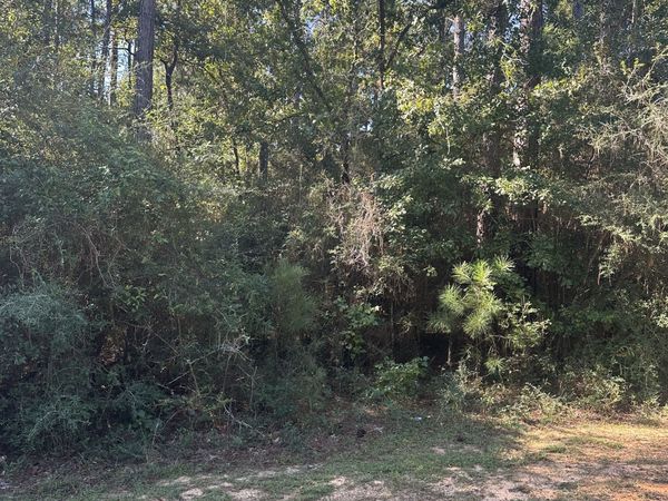 0 Northshore Drive, Bay Minette, AL 36507