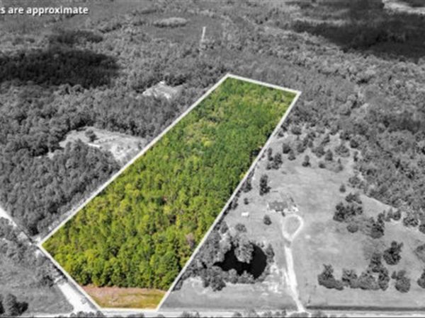 15.5 AC Elim Church Road NE, Ludowici, GA 31316