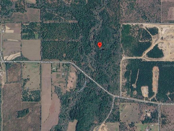 33-4N-20-29000-010-0010 , DEFUNIAK SPRINGS, FL 32433