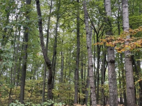 Lot 681 Elm Run, Farwell, MI 48622