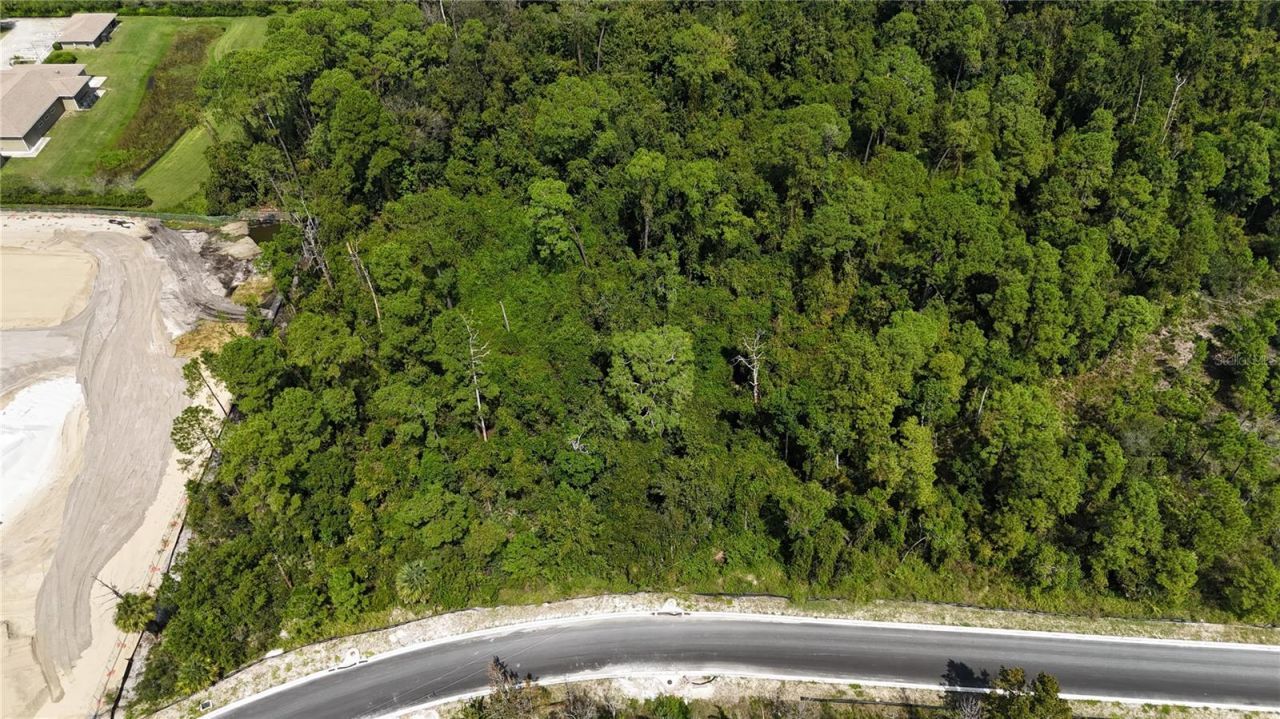 Forehand Road , Davenport, FL 33896 Photo