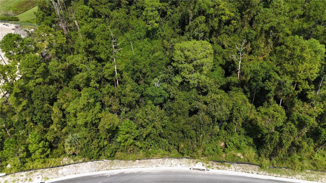 Forehand Road , Davenport, FL 33896 Photo