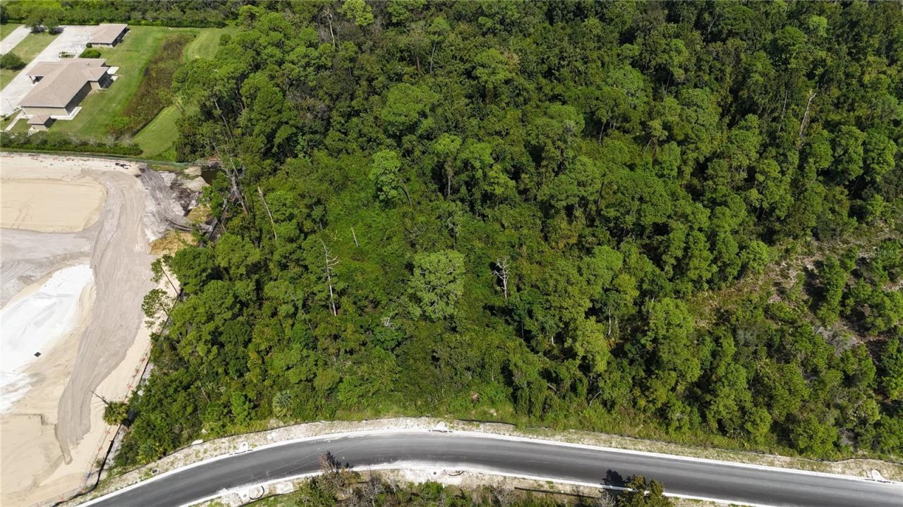 Forehand Road , Davenport, FL 33896 Photo