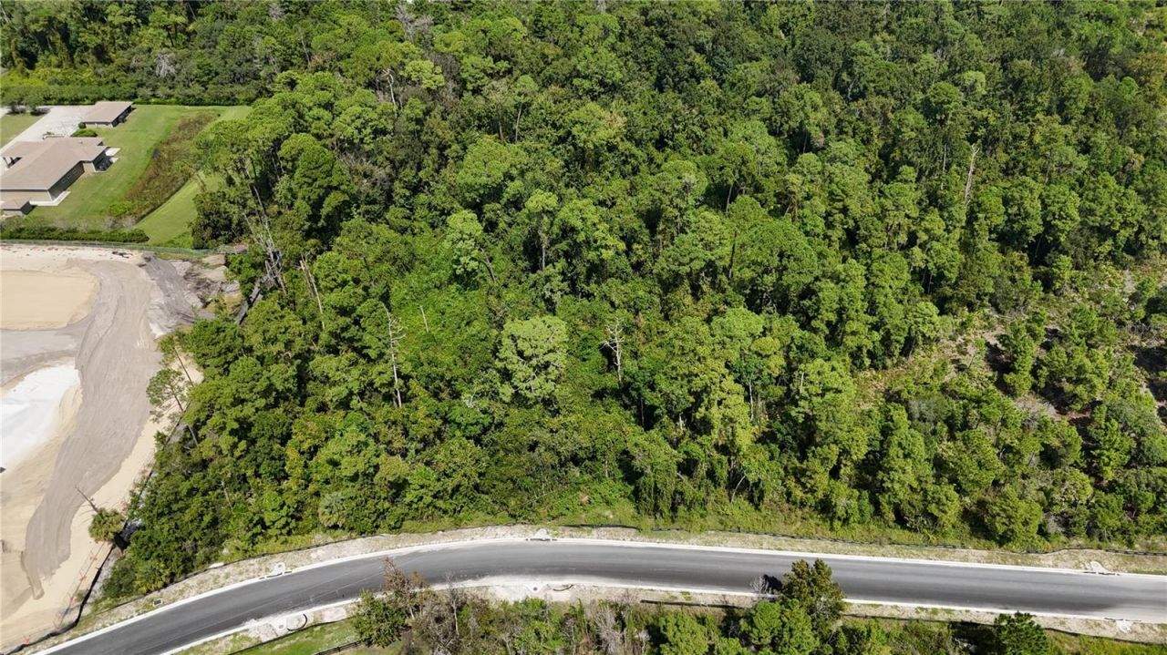 Forehand Road , Davenport, FL 33896 Photo