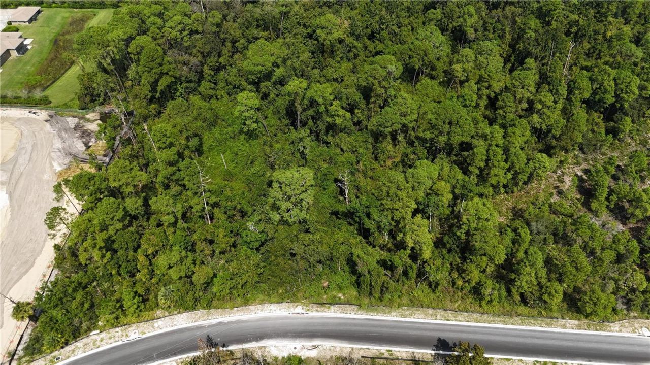 Forehand Road , Davenport, FL 33896 Photo