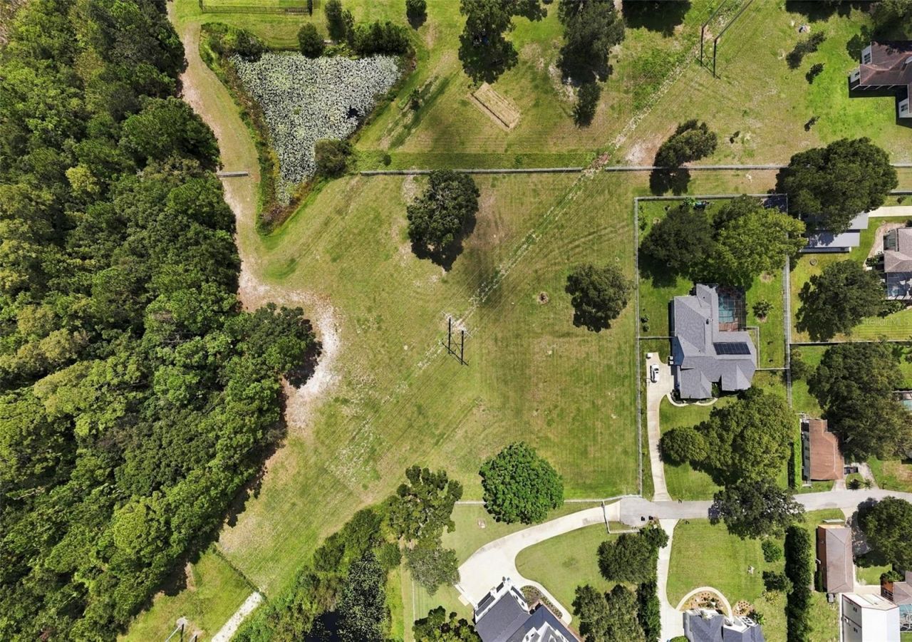 7702 Rosa Maria Lane , Odessa, FL 33556 Photo