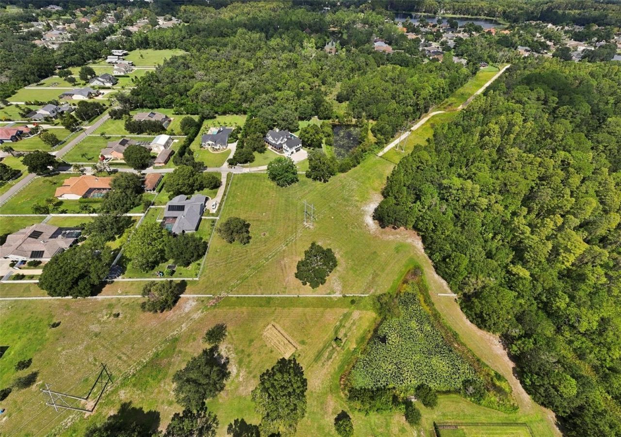 7702 Rosa Maria Lane , Odessa, FL 33556 Photo