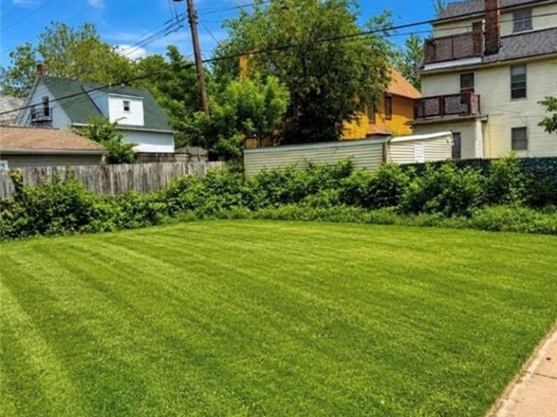 2233 E 80th Street, Cleveland, OH 44103 Photo 7
