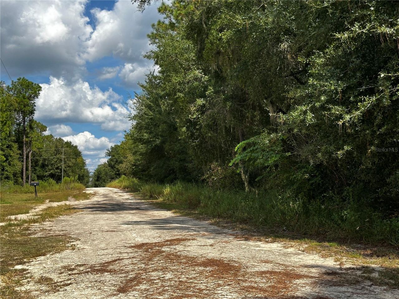 148 NE 155th Terrace , Williston, FL 32696 Photo