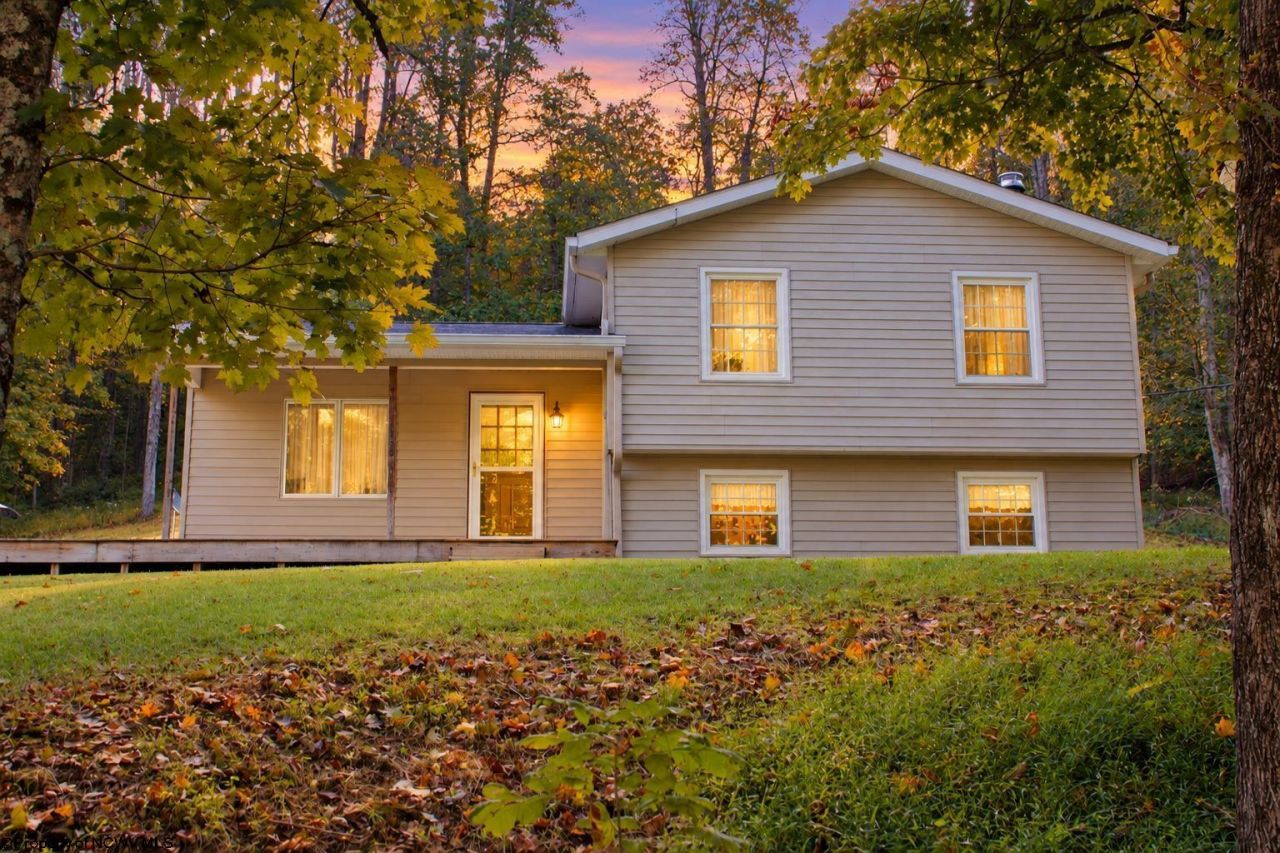 274 Brown Run Road, Burton, WV 26562 Main Photo