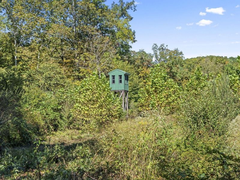 15909 Middlefork Road, Laurelville, OH 43135 Photo 47