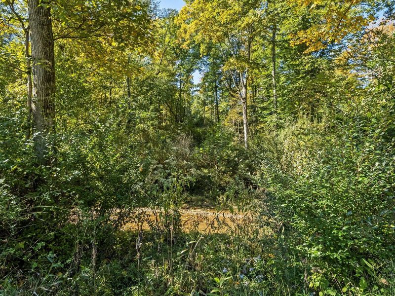 15909 Middlefork Road, Laurelville, OH 43135 Photo 49