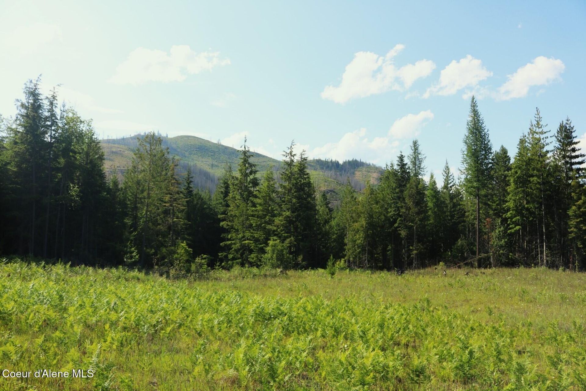 Nka Slippery Slope Trail, Priest River, ID 83856 Main Photo