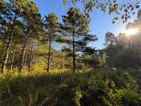 XXX 540th Lane , Palisade, MN 56469