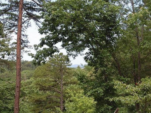384 Back Pine Way , Ellijay, GA 30540