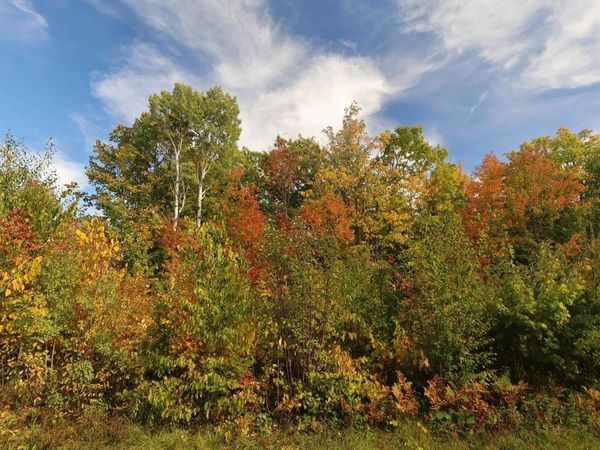 91XXX-N W Old County Hwy K, Bayfield, WI 54814