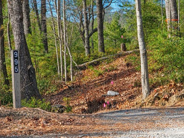 43 Deer Crossing Lane , Ferguson, NC 28624