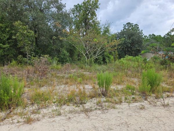 0000 NE 67TH STREET , BRONSON, FL 32621