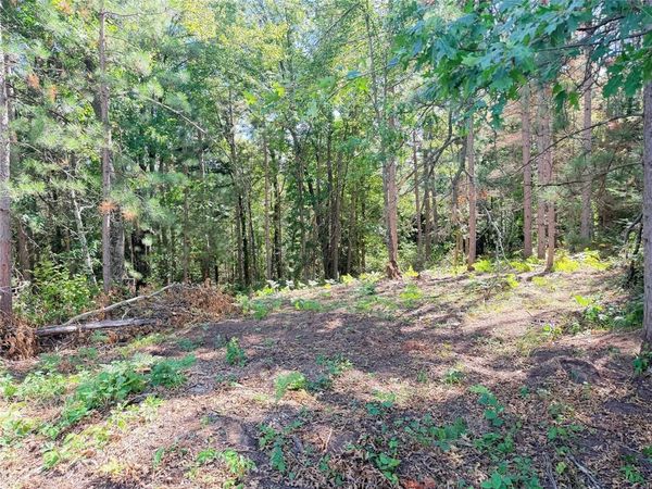 Lot 3 Boat Landing Road, Ladysmith, WI 54848
