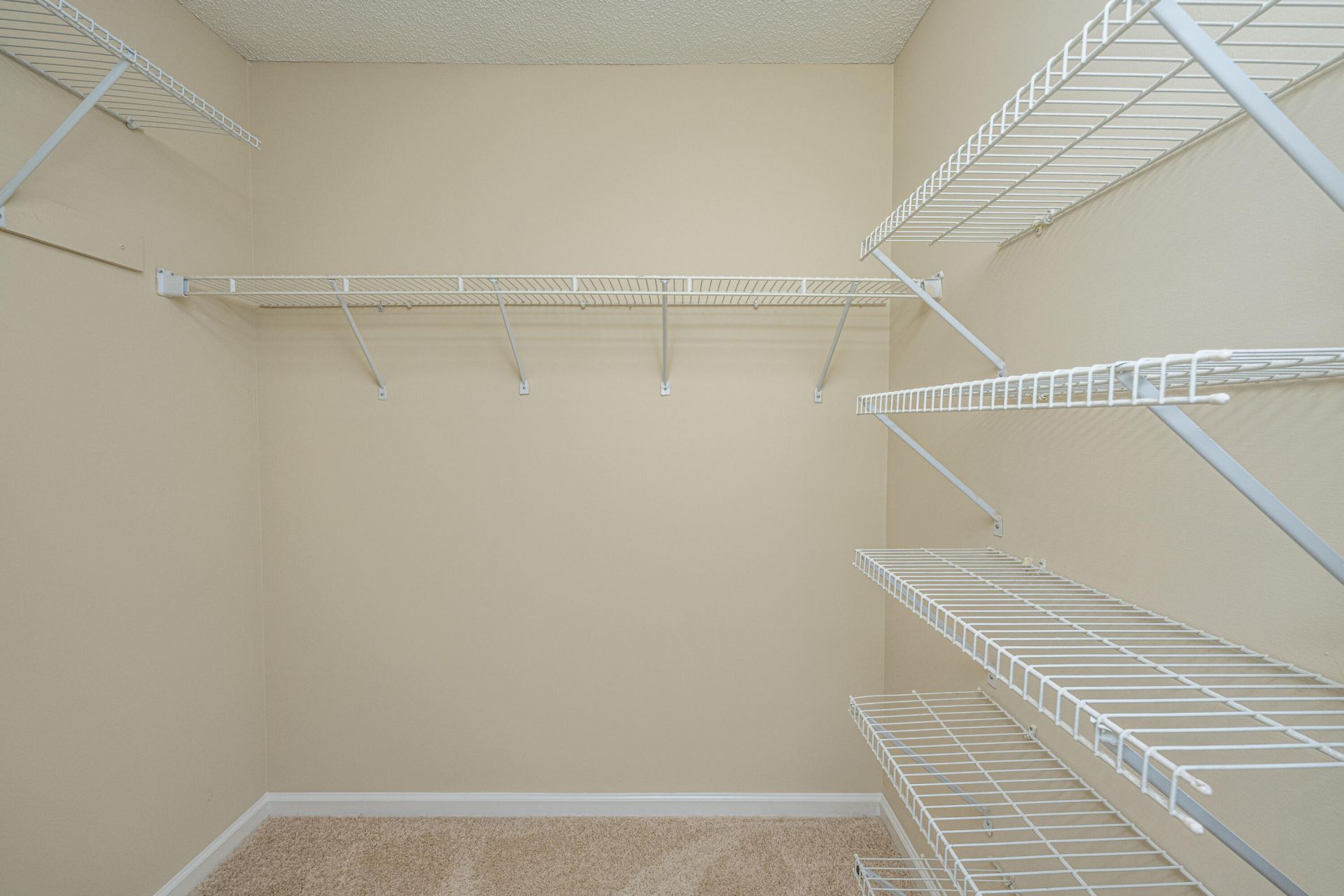 5005 Willoway Circle Photo 29