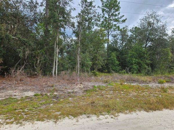 0000 NE 67TH STREET , BRONSON, FL 32621