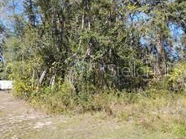 TBD SE 61ST PLACE , OCKLAWAHA, FL 32179