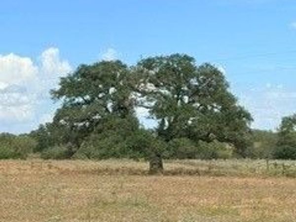 0000 Mission Valley Rd Road, Cuero, TX 77954