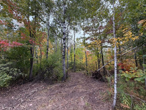 51449 Sand Creek Rd , Bruno, MN 55712