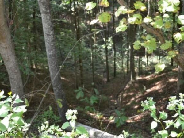 Lot 4 & 7 Weber Lane Lane, Celina, TN 38551
