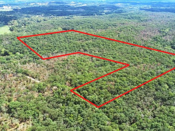 000 SE 1200 Road , Collins, MO 64738