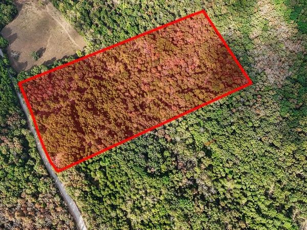 0000 Co Rd 122, Wasola, MO 65773