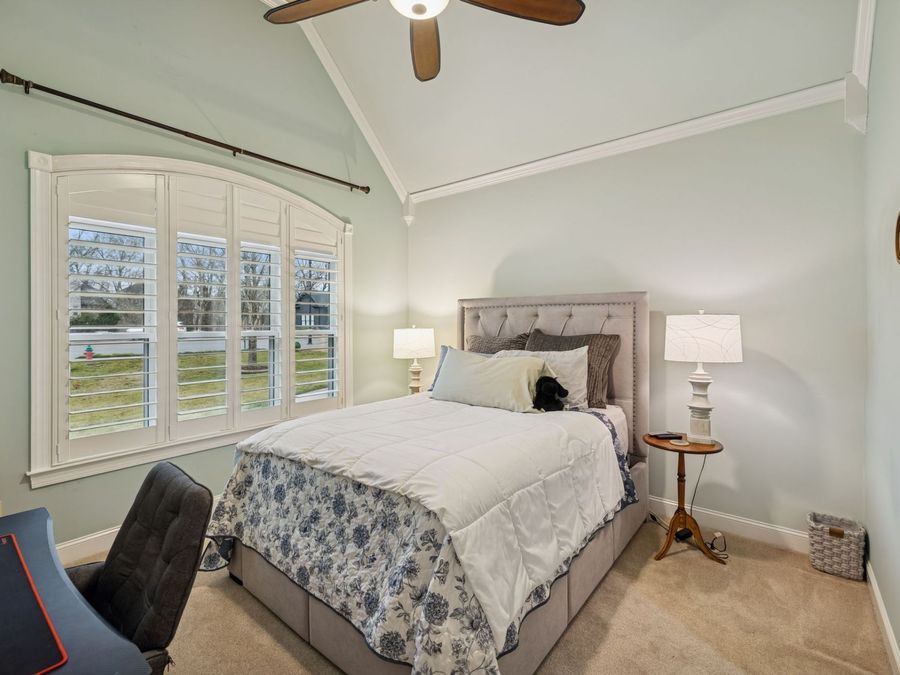 Property Image 62