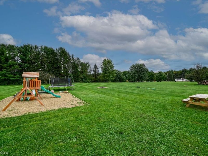9828 State Route 88, Garrettsville, OH 44231 Photo 26