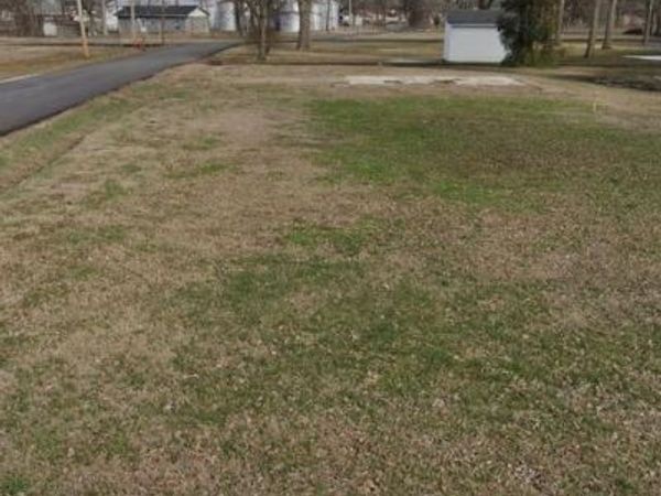 302 Jackson Street , Morehouse, MO 63801