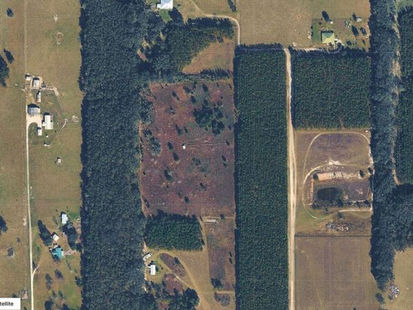 6015 SW CO RD 242, Lake City, FL 32024