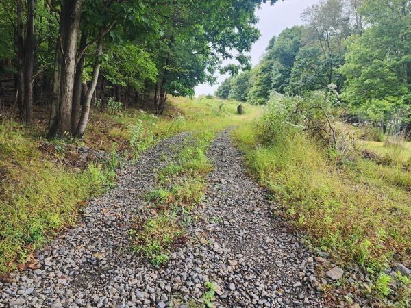MOUNTAIN Road , Shamokin, PA 17872
